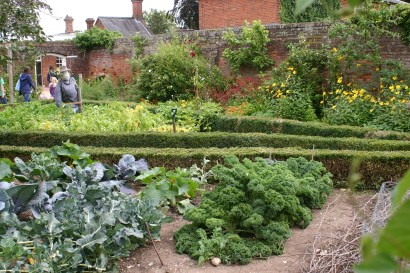 Cherry Tree Cottage garden is set out like a typical 1930's cottage garden with vegetable varieties and techniques of the time