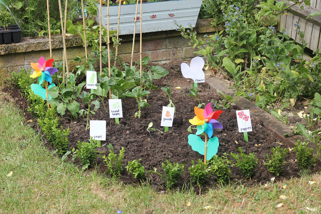 A children's food garden