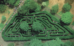Hampton_Court_Maze