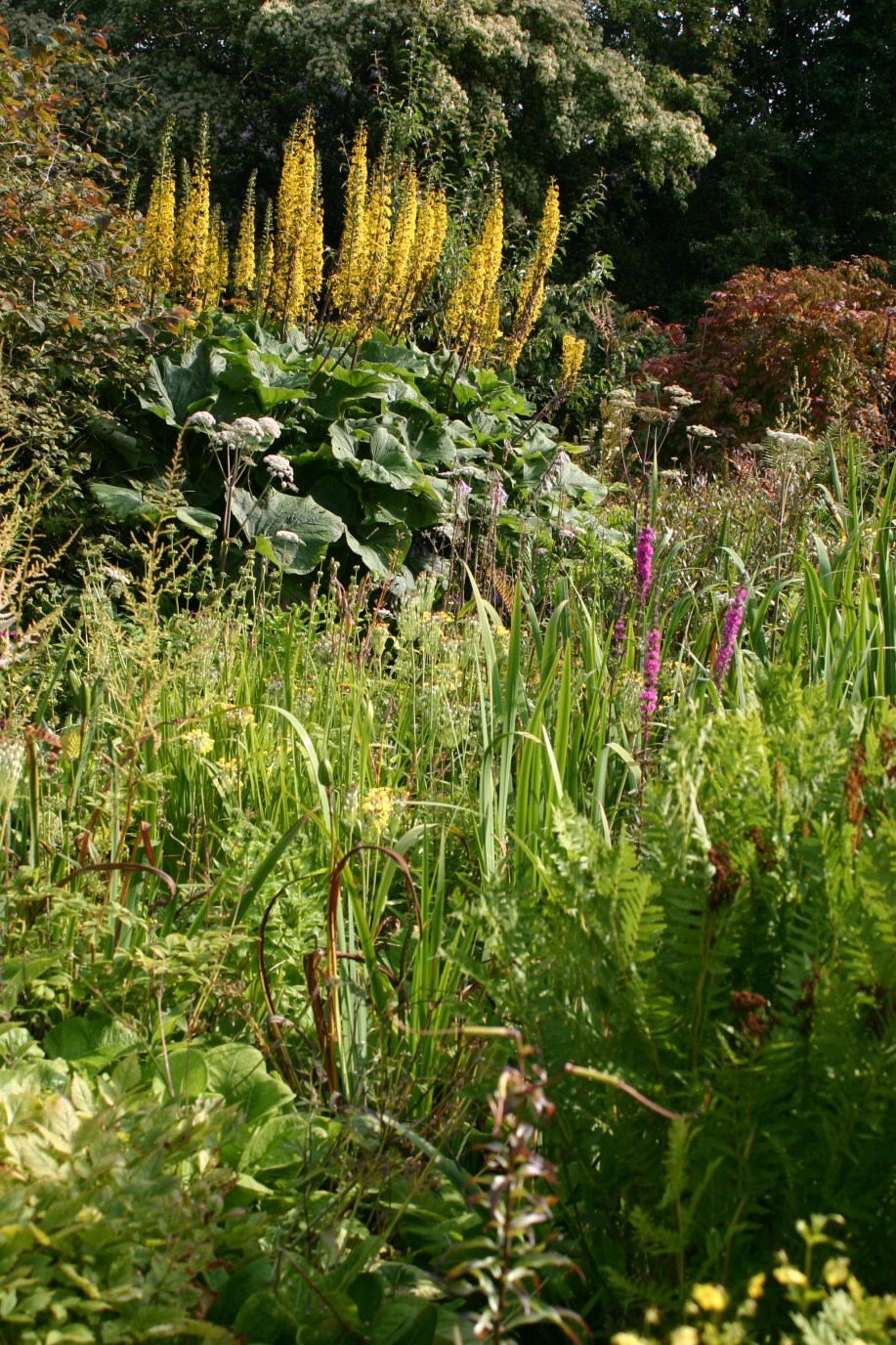 Picpost: Great Garden @ Howick Hall