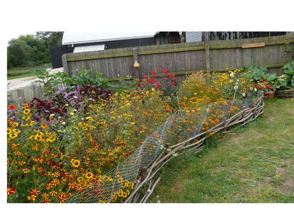 One side of the Dyers' Garden