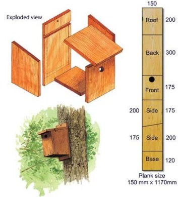 nest box