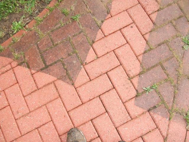 Now's the time for cleaning up in the garden