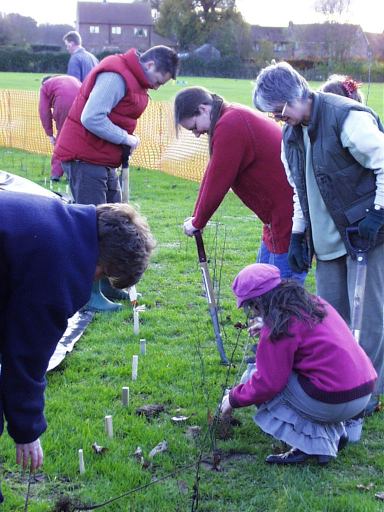 Hedge planting- put some natural boundaries around your garden with community effort!