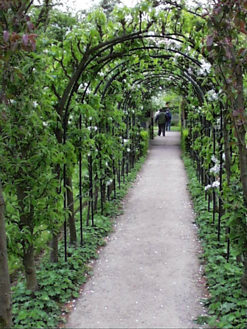 PicPost: Great Garden @ Barnsdale