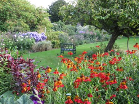 Herbaceous borders at Peckover House, Wisbech