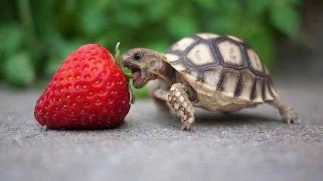 PicPost: And now for dessert...