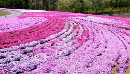 PicPost: Arc de Triomphe