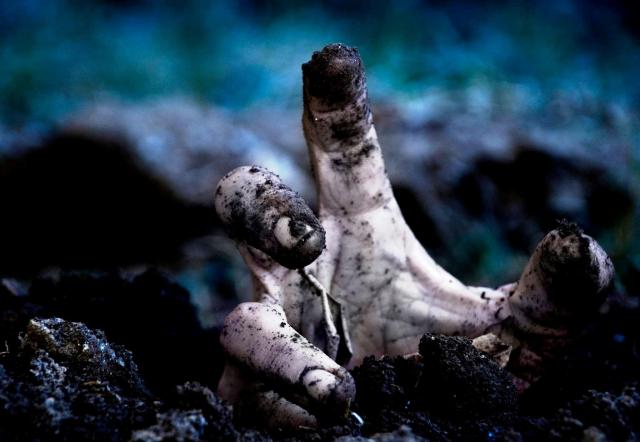 PicPost: Inter-esting Compost