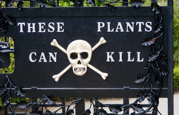 alnwick poison garden sign