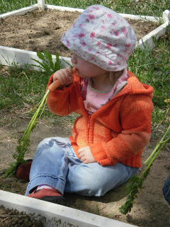 child eating carrot