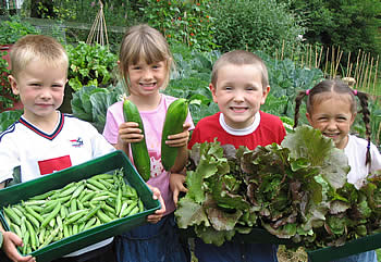 Harvesting what they've grown is a great thrill for children
