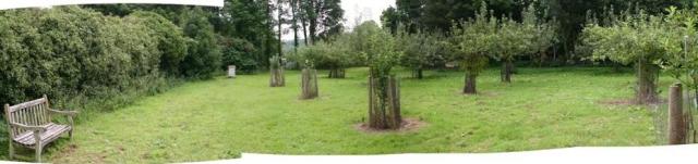 Gressenhall's orchard - a peaceful place to remember the unamed poor once buried here