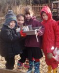 School Gardening group