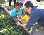 teaching gardening