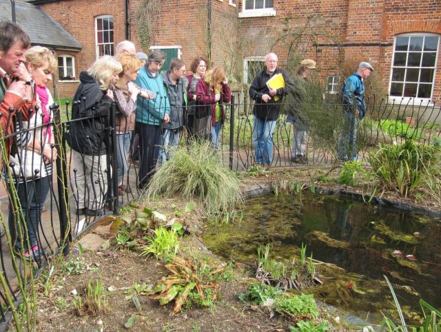 Me showing 20 new Master Gardeners around the Wildlife Garden at Gressenhall Farm and Workhouse Museum