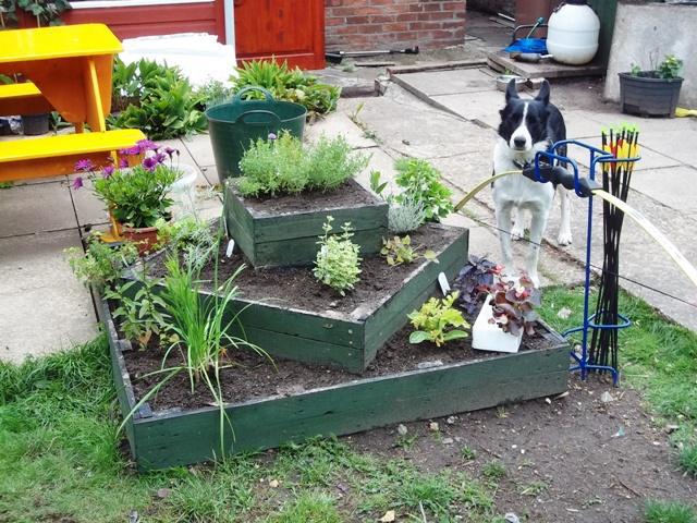 Pallet planter- see more at http://overthegate.myfreeforum.org/about24169.html 