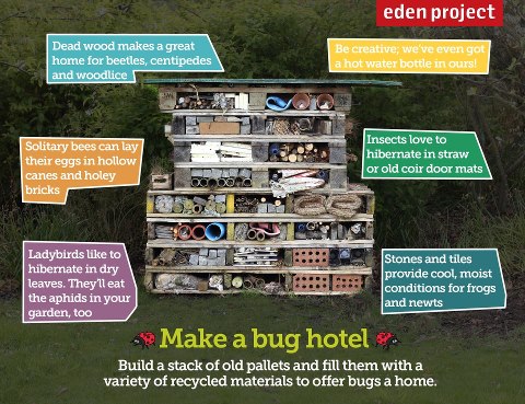 Make your own bug hotel