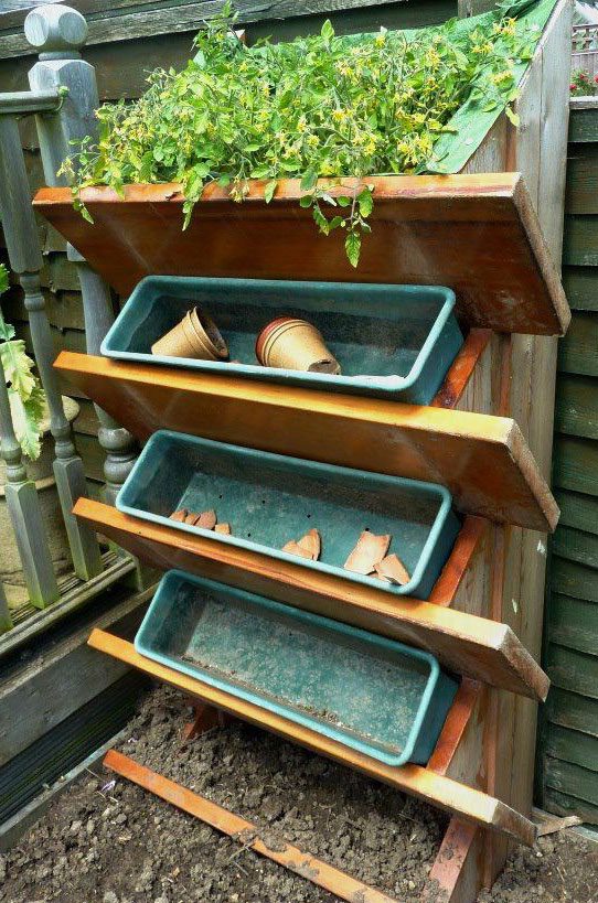 PicPost: Stair in disbelief