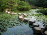 Heian-jingu_shinen Stepping stones in the garden of the first Kyoto Imperial Palace. These stones were originally part of a 16th century bridge over the Kamo River, which was destroyed by an&nbsp;earthquake.