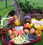 heritage_veg