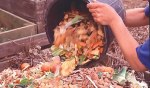 kitchen waste into the compost&nbsp;bin