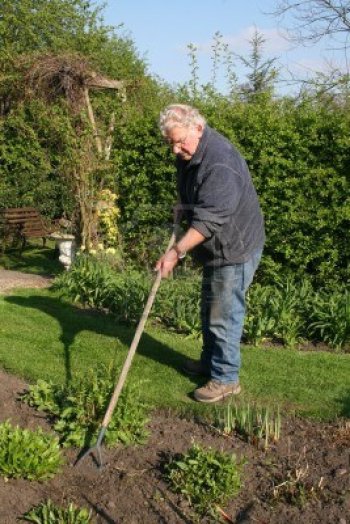 Hoeing regularly makes weed control so much easier
