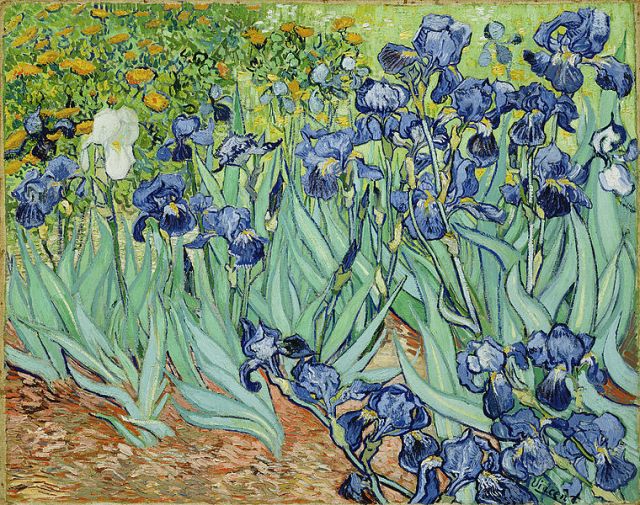 Irises by Van Gogh