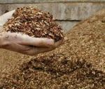 wood chip mulch