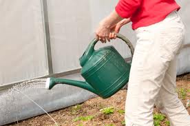 Water the greenhouse early or late in the day