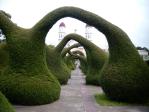 hedge archway