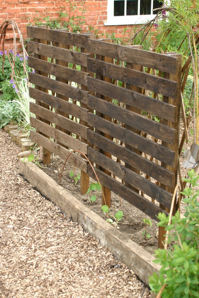 My own attempt at a Trellis screen made from two pallets fixed to posts in a public garden for under fives. The screen has diamond trellis fitted to the back, has been stained and will have climbing Nasturtums growing up it.