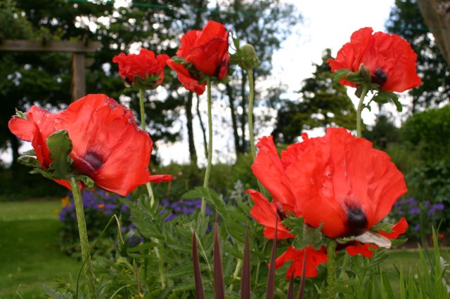 PicPost: Thanks Vermillion