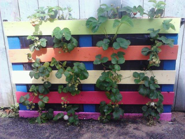 PicPost:Pallet to Strawberry planter