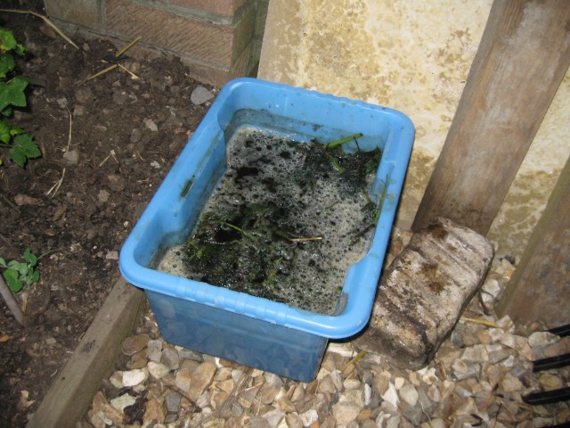 Making Nettle Plant Food- image from Tracey the transitoner