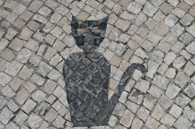 PicPost: Cat on the tiles