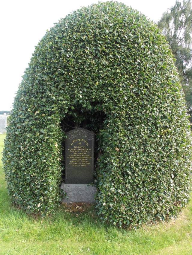 PicPost: Prickly End