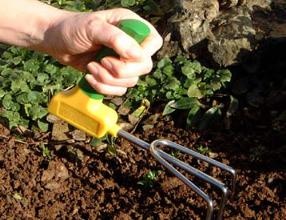 Special tools can be useful for the disabled gardener
