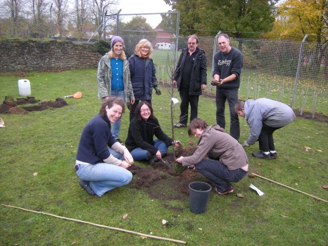 Getting to grips with fruit tree planting- the group at Wensum View Park