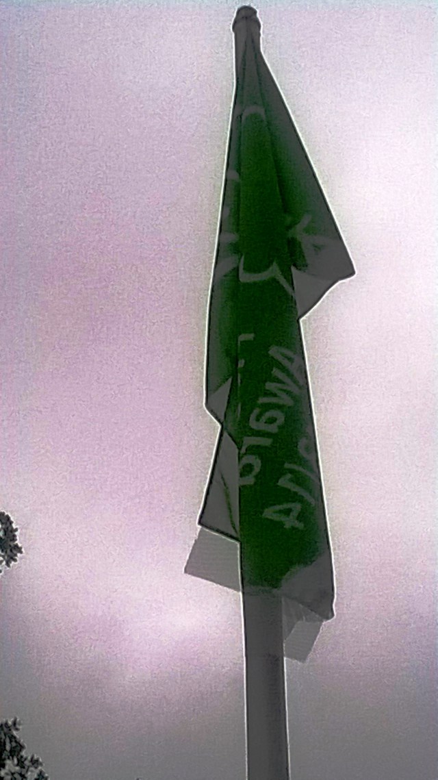 This Green Flag wasn't doing much on a damp and breathless November afternoon