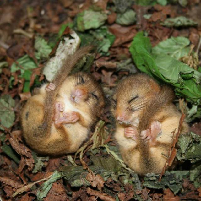 PicPost: Time for Sleep