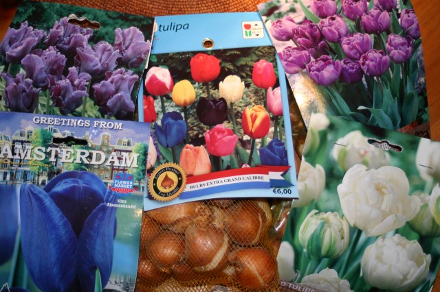 Tulips from Amsterdam...