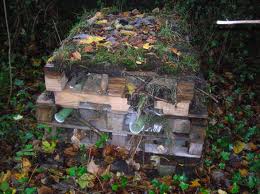 'Bug Hotels' can provide a 'Des Res' for many insects and other critters