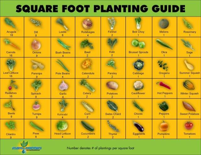 Square Foot Gardening