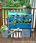 drawer planter