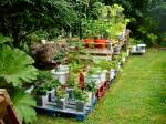 pallet garden