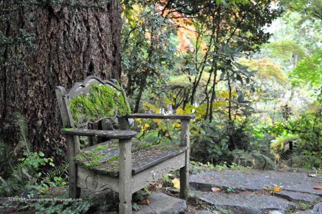 PicPost: Green Velvet