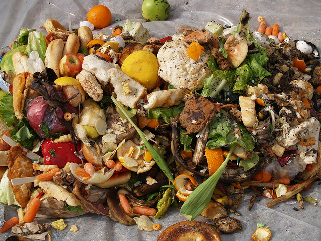 Pretty much any food scraps can be added to a compost heap
