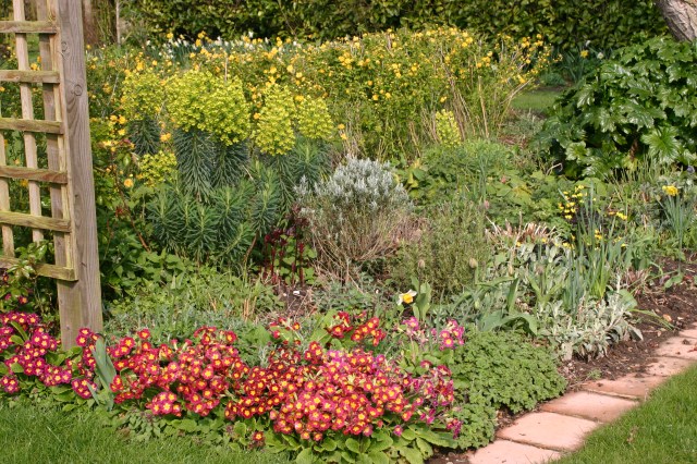 Spring has sprung at Old School Garden