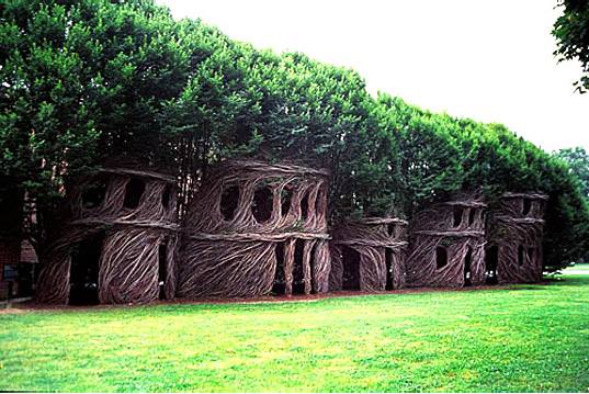 houses from woven  trees green renaissance